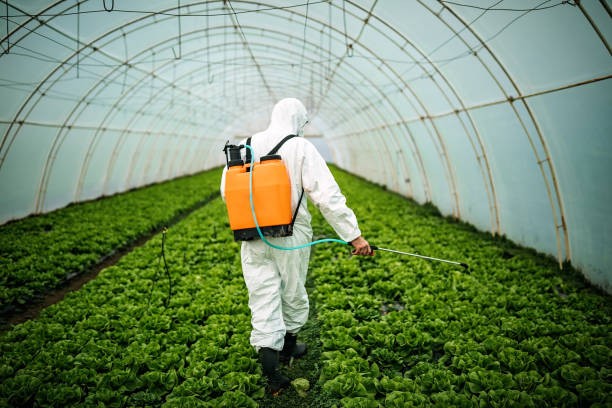 Best Affordable Pest Control Services  in Greene, RI