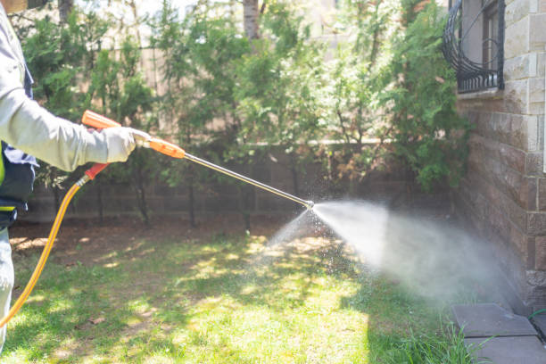 Spider Control Near Me in Greene, RI