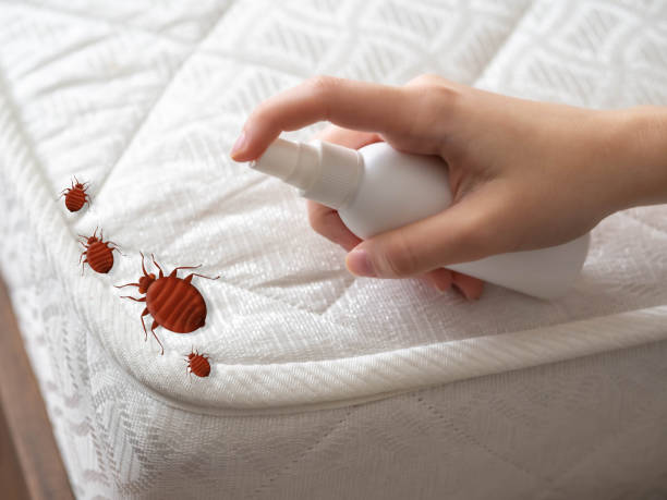 Best Pest Control for Businesses  in Greene, RI