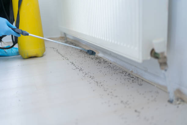 Best Best Pest Control Companies  in Greene, RI