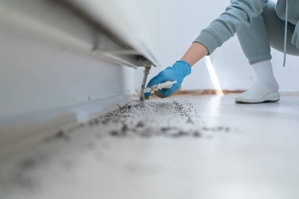 Best Best Pest Control Companies  in Greene, RI