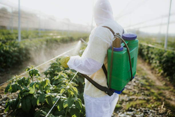 Best Ant Control Services  in Greene, RI